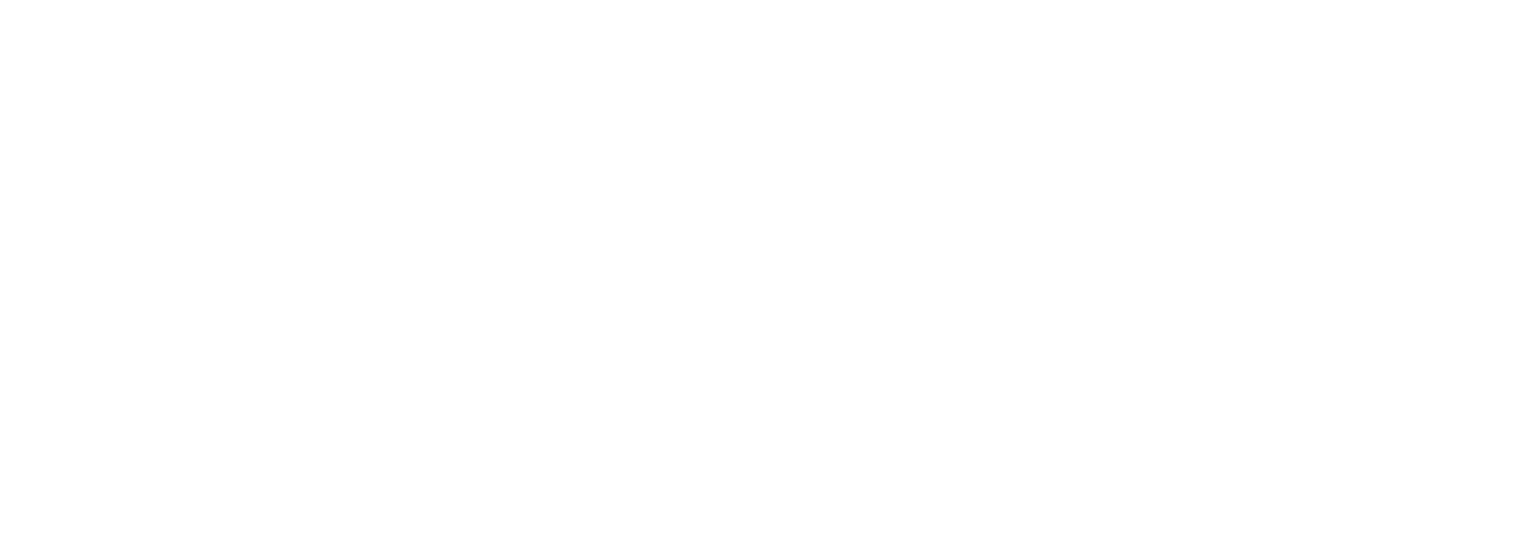 zingwear.store